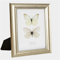 Photo frame  from MMCIS China